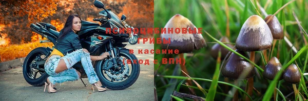 ешки Алексин