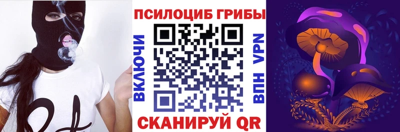 Псилоцибиновые грибы Psilocybine cubensis Белозерск